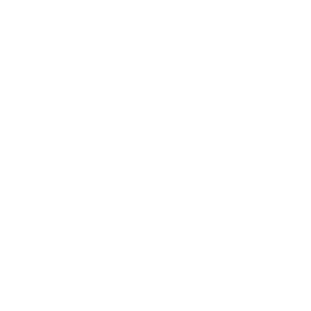 blockchain wed development