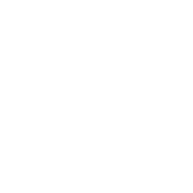 deep learning AI