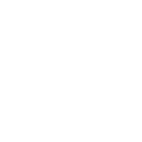 google home apps and chatbot development